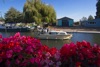 Ely in the sun